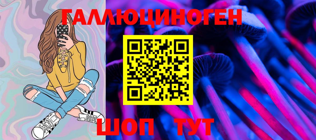 Псилоцибиновые грибы Psilocybe  Вход с VPN  Мценск 