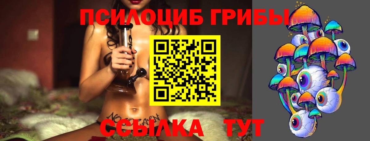 Псилоцибиновые грибы GOLDEN TEACHER Мценск